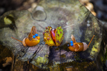 Obraz na płótnie Canvas Handmade mouse acorn forest chestnut