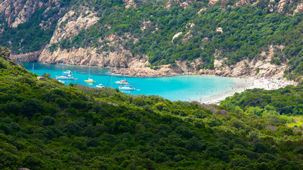 Naklejka premium Plage de Roccapina, Corsica, in summer