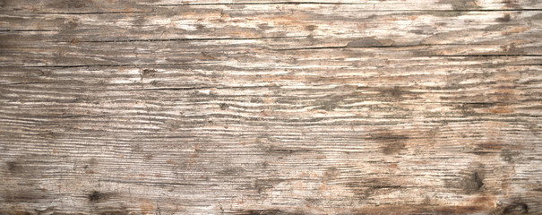 Gray vintage wood texture