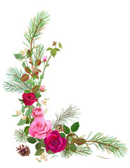 Vertical corner border with red, pink roses, pine branches, cone, common snowberry. Design concept for Christmas: flowers, leaves, white background, digital draw, watercolor style, vector
