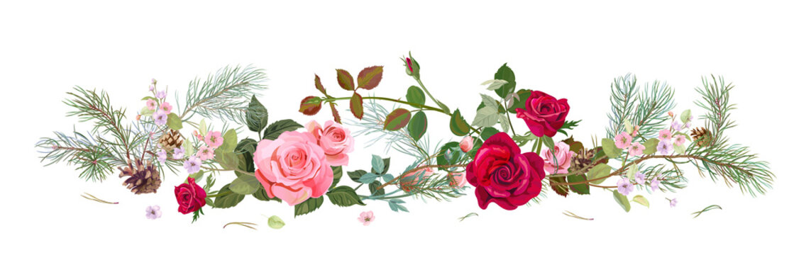 Panoramic view with red, pink roses, spring blossom, pine branches, cones. Horizontal border for Christmas: flowers, buds, leaves on white background, digital draw, watercolor style, vector
