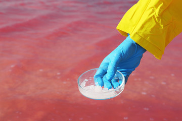 Laboratory worker with Petri dish taking sample from pink lake for analysis, closeup
