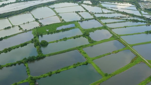 Aerial view Fish hatchery pond