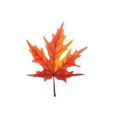 Hand drawn maple leaf. Colorful and bright maple leaf isolated on white background.