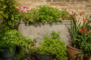 Ancient lead planter filled with Geraniums and other flowers