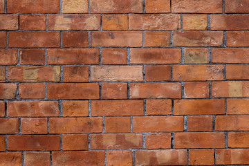 Obraz premium Brick wall texture background
