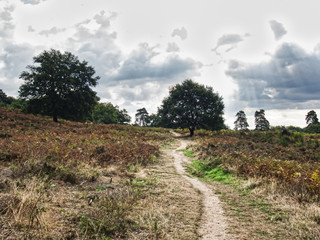 Obraz premium Rundgang Wahner Heide 