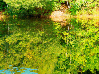 Reflections of autumn forest on park pond landscape background