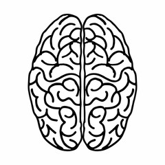Brain freehand illustration