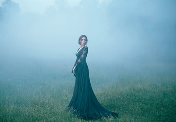 a girl in a black long dress walking along ia a clearing in thick fog. scared, beautiful, witch ia...