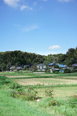 田園風景