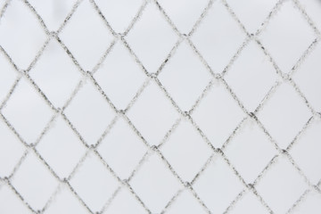 Frozen lattice fence. Snow covered grid. Winter hoarfrost.