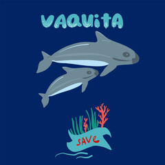 Obraz na płótnie Canvas vaquita marina blue whale sealife vector illustration