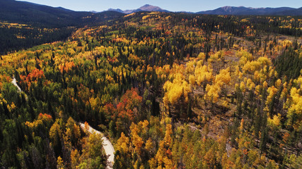 Aerial view of the autumn fall weather bringing in the changing colors of the aspen tree leaves in the Colorado mountains