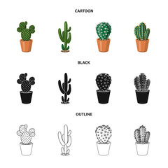 Vector illustration of cactus and pot symbol. Collection of cactus and cacti stock vector illustration.