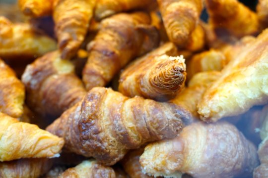 briosh