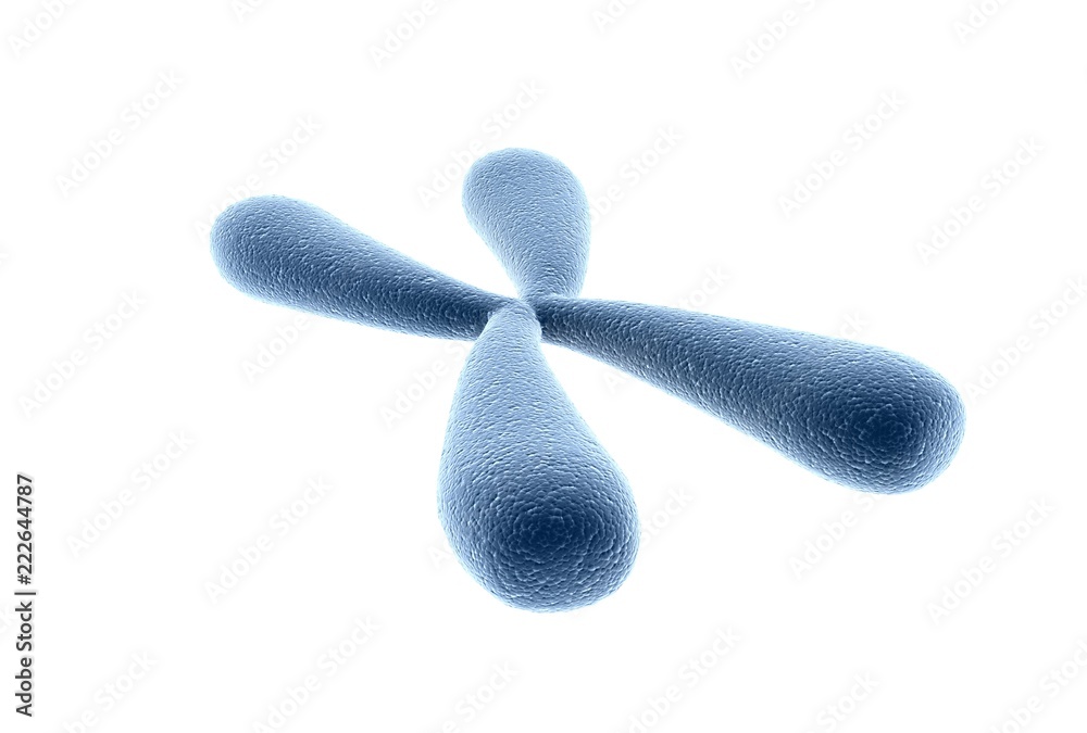 Wall mural 3d rendered illustration of chromosomes. genetics concept, x chromosomes in white background