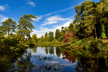 Fototapeta na wymiar Wonderful autumn colours in a park near Tunbridge Wells in Kent, England