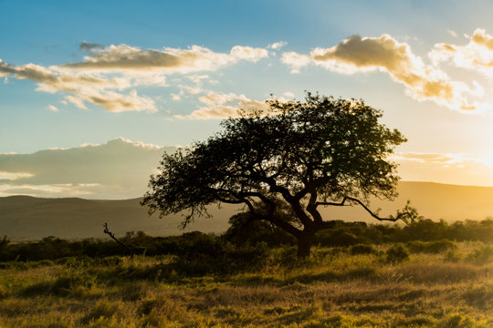 South African Landscapes while on Safari 