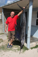 fishing for a sailfish (Istiophorus platypterus). Fisherman with sailfish (fish-sword). fishing in Cuba
