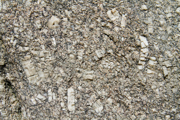 Igneous rock with phenocrysts of variable size in a matrix of finer-grained material