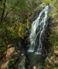 Fototapeta na wymiar Waterfall off of Robie Point Firebreak Trail 