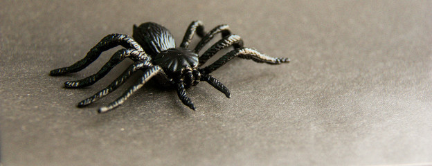 Black rubber spider toy on paper background with white smoke. Dark halloween october concept.