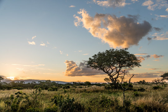 South African Landscapes while on Safari 
