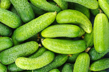 Cucumbers background