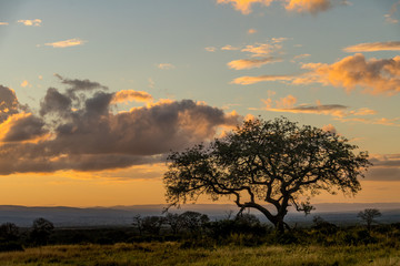 South African Landscapes while on Safari 