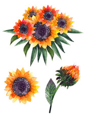 Autumn watercolor compositions or bouquets of sunflowers
