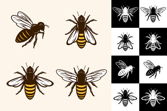 Vector bee icons