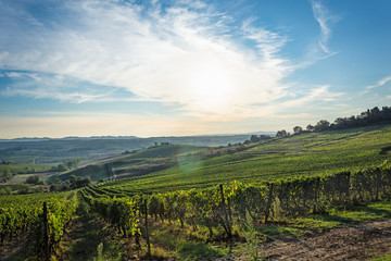 Naklejka premium La luce del mattino
