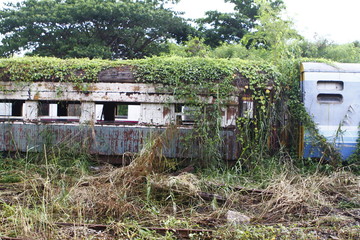 at the train graveyard