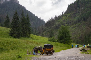path in the rain in the valley of Koscieliska, Tatra Mountains, Poland © irontrybex