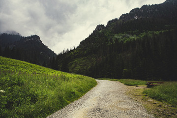 path in the rain in the valley of Koscieliska, Tatra Mountains, Poland