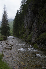 Fototapeta na wymiar small brook in the valley of Koscielisko, Tatra Mountains, Poland