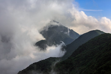 Fanjingshan, Mount Fanjing Nature Reserve - Sacred Mountain of Chinese Buddhism in Guizhou Province, China. UNESCO World Heritage List - China National Parks, Summit View, Sea of Clouds and forest