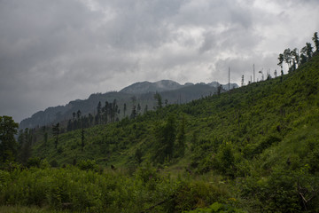 glade and mountains in the valley of Koscieliska, Tatra Mountains, Zakopane