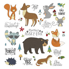 Set of handdrawn cute forest animals and lettering quotes. Vector illustrations with raccoon, squirrel, hare, mouse, bear, fox, deer, hedgehog and weasel.