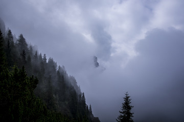 Salita al rifugio Velo della Madonna - San Martino di Castrozza