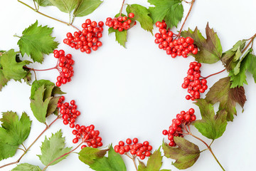 Autumn composition frame made of berries on white background