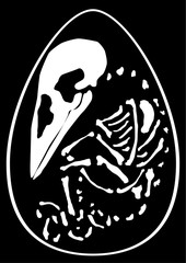 Egg Hatchling Skeleton © higyou
