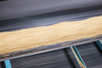 Plant for storage and processing of grain, grain moves along a conveyor belt, blurred, conveyor...