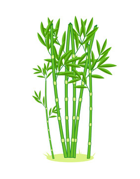 Light Cartoon Bamboo Grove. Bamboo Cartoon Forest. Vector Illustration