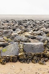 Damm bei Ebbe in der Nordsee