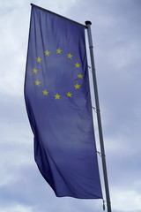 Flag of Europe, Flag of the European Union and the Council of Europe