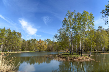 Obraz premium Spring landscape