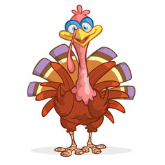 Cartoon funny turkey character for Thanksgiving