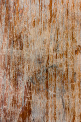 Wooden texture planks natural for background design